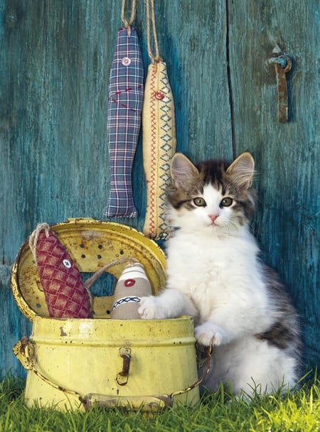 media/pim/500p-the-cat-8005125303458_5.jpg