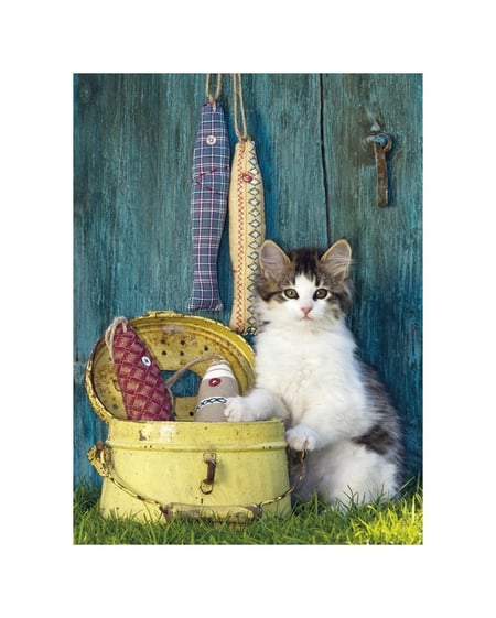 media/pim/500p-the-cat-8005125303458_8.jpg