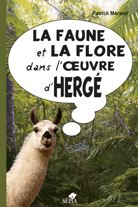 media/pim/51_metadata-image-43146805.jpeg