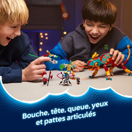 media/pim/53_11884064_8_30_FR.jpg