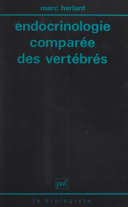 media/pim/53_9b1d6c21-9a9f-42e3-a58a-17871c8b6a76.jpeg