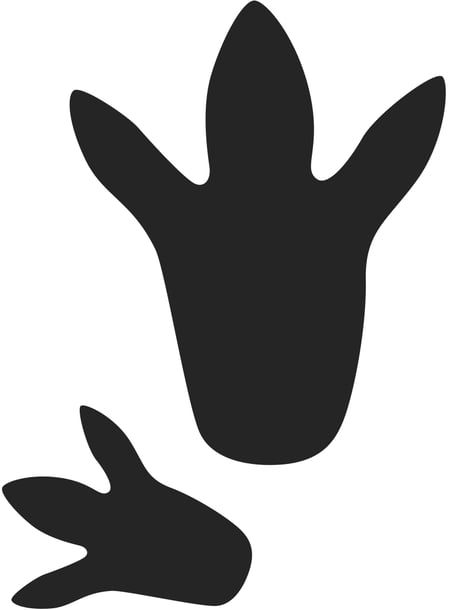 media/pim/5414135256488_1.jpg