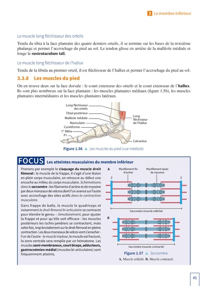 media/pim/5428856_iol2pis8_3_2d545
