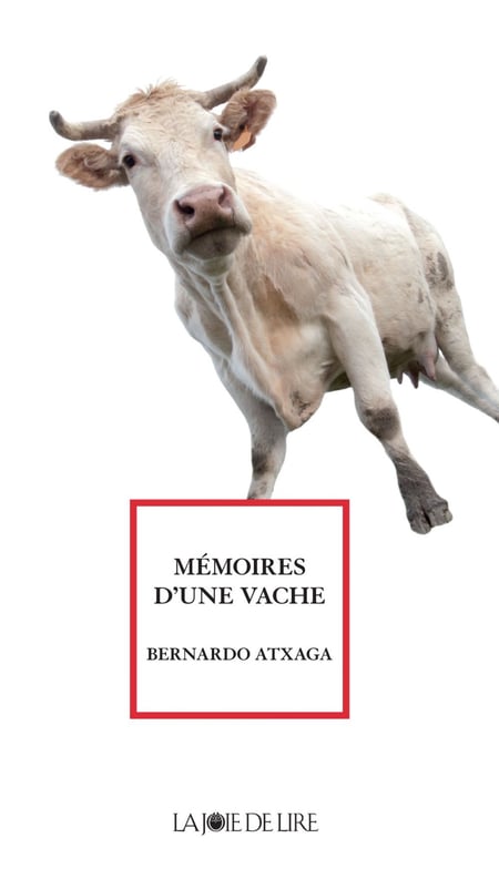 media/pim/54_metadata-image-22628554.jpeg