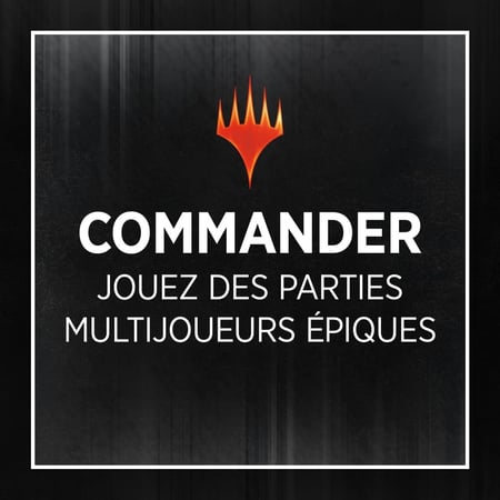 media/pim/55_10054220_4_40_FR.jpg