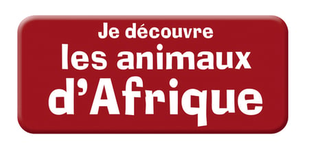 Tiptoi je découvre les animaux d'afrique Ravensburger - Jeux d'éveil  interactifs - Premiers jeux - Jeux d'éveil