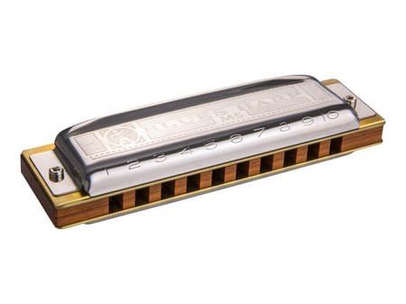 harmonica adulte 10 Trous Harmonica Diatonique Bouche Harpe Débutants  Adultes Joueurs Professionnels Instruments (Color : Bk) : :  Instruments de musique et Sono
