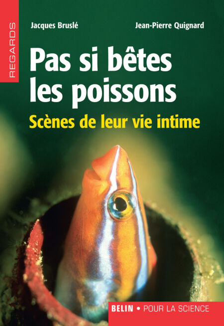 media/pim/56_47382428-c644-4ee5-a2d8-7ec6c7a439d6.jpeg