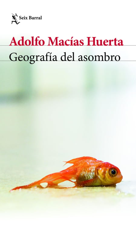 media/pim/56_metadata-image-67192932.jpeg