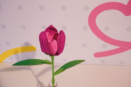 media/pim/57_12887722_5_40_FR.jpg