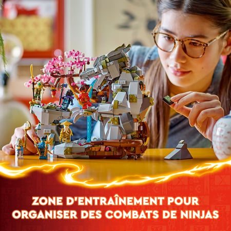 media/pim/59_10222809_8_30_FR.jpg