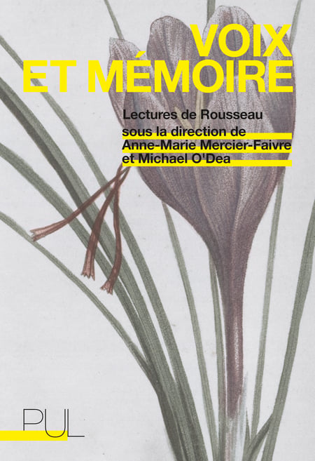 media/pim/5_metadata-image-41911320.png