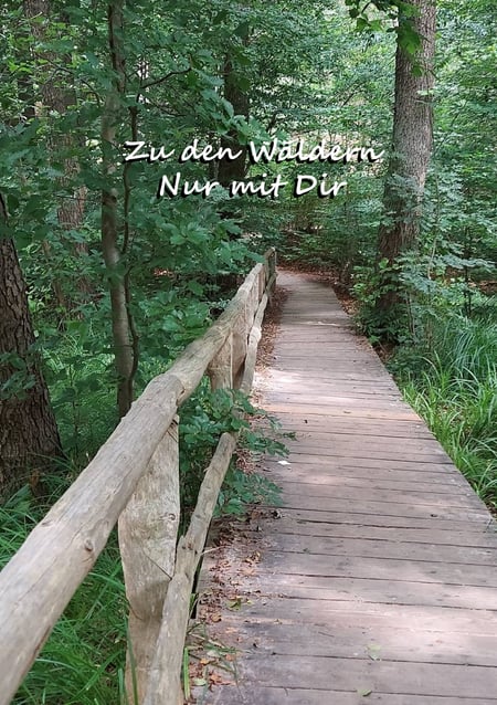 media/pim/5_metadata-image-71058762.jpeg