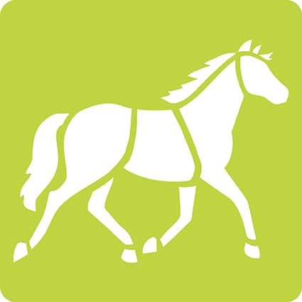 media/pim/6-pochoirs-chevaux-6-pochoirs-chevaux-3065500426443_11.jpg
