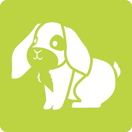 media/pim/6-pochoirs-enfants-animaux-6-pochoirs-animaux-familiers-3065500424456_10.jpg