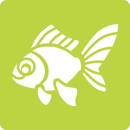 media/pim/6-pochoirs-enfants-animaux-6-pochoirs-animaux-familiers-3065500424456_11.jpg