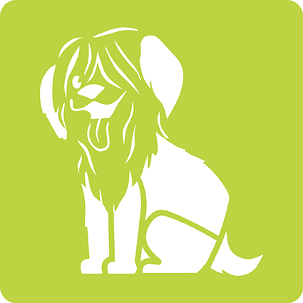 media/pim/6-pochoirs-enfants-animaux-6-pochoirs-animaux-familiers-3065500424456_12.jpg