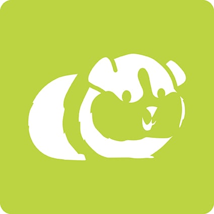 media/pim/6-pochoirs-enfants-animaux-6-pochoirs-animaux-familiers-3065500424456_15.jpg