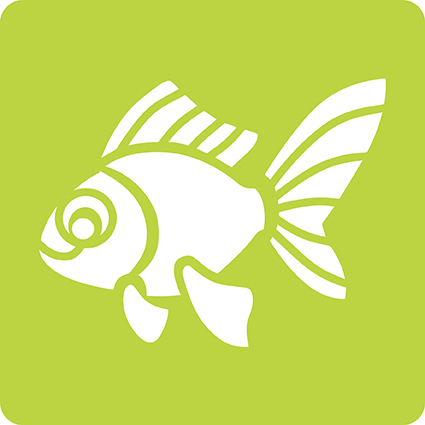media/pim/6-pochoirs-enfants-animaux-6-pochoirs-animaux-familiers-3065500424456_18.jpg