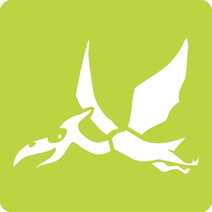 media/pim/6-pochoirs-enfants-dinosaures-6-pochoirs-enfants-dinosaures-3065500424494_15.jpg