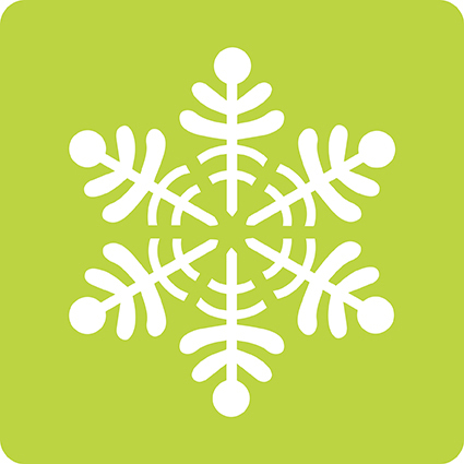 media/pim/6-pochoirs-noel-6-pochoirs-noel-3065500424555_11.jpg