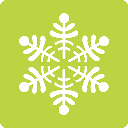 media/pim/6-pochoirs-noel-6-pochoirs-noel-3065500424555_17.jpg