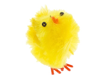 media/pim/6-poussins-4cm-3700408342333_1.JPG