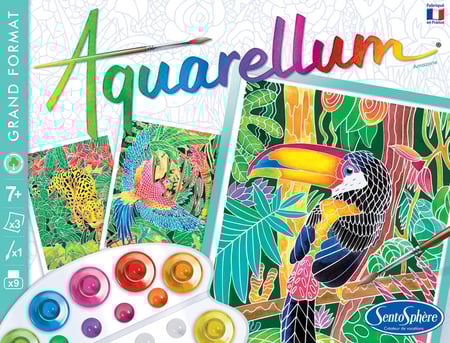 SentoSphère - RECHARGE AQUARELLUM - JAPONAISES - Recharge Cartes Aquarellum - Kit Peinture - Peinture Aquarellable Magique - A Partir De 8 Ans