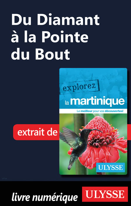 media/pim/61_metadata-image-21404640.jpeg