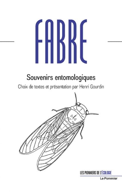 media/pim/62_8045b139-ee81-4c27-af45-1ce239ea7292.jpeg