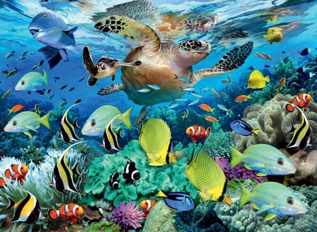 media/pim/64_231164_2_110_FR.jpg