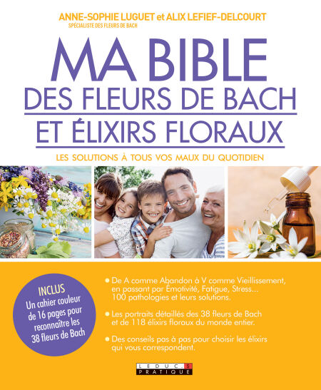 media/pim/64_d3d858c5-a676-4480-8fc3-db6f716c9aef.jpeg