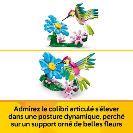 media/pim/66_12488550_8_30_FR.jpg