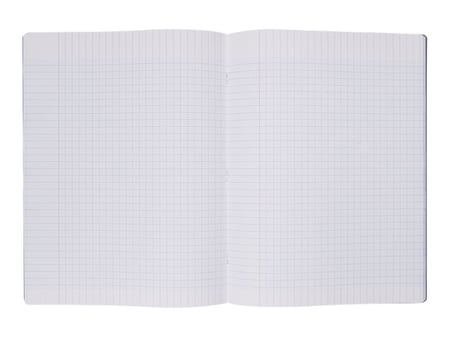 Cahier - 24 x 32 cm - 96 pages grands carreaux - Gris - Cultura