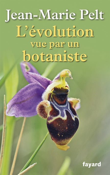 media/pim/66_metadata-image-1470403.jpg