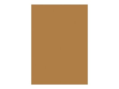 1 étui de 25 feuilles Pollen - Clairefontaine - 210g - Kraft - 210x297 mm