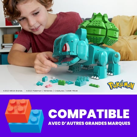 media/pim/68_10039011_6_50_FR.jpg