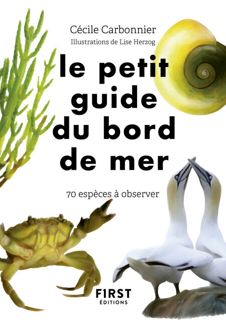 media/pim/68_8290c8d6-8e79-468a-a11b-00c83709ad4a.jpeg