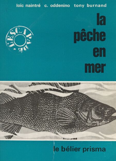 media/pim/68_bcfd2396-3cce-48c6-8429-56a261c6ca41.jpeg