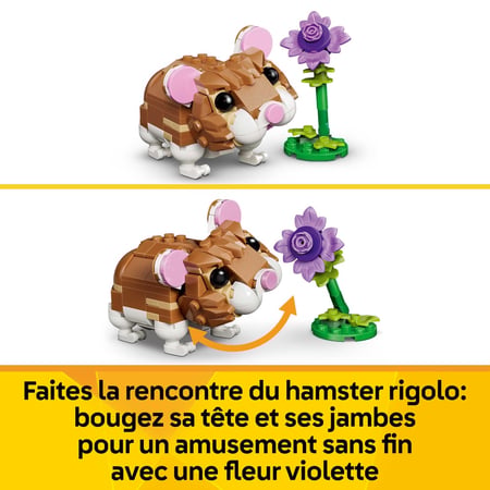 media/pim/6_12488517_8_30_FR.jpg