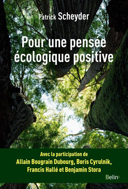 media/pim/6_6c34d032-fd82-4c5b-b4d1-34db253a6575.jpeg