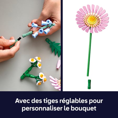 media/pim/73_10827867_8_30_FR.jpg