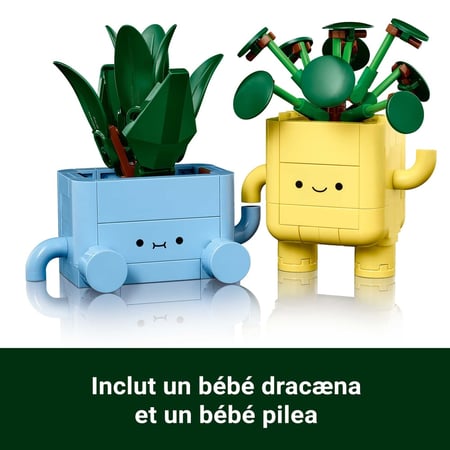 media/pim/74_11884008_8_30_FR.jpg