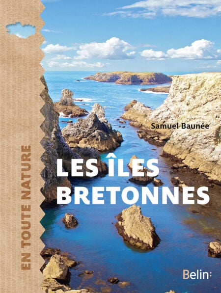 media/pim/74_fe939680-50e0-469b-bc99-ac04c8ba7404.jpeg