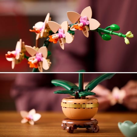 media/pim/75_10827868_6_40_FR.jpg