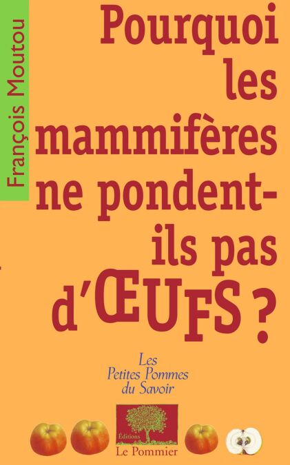 media/pim/75_a636ed91-36b3-481c-8911-1811643c196b.jpeg
