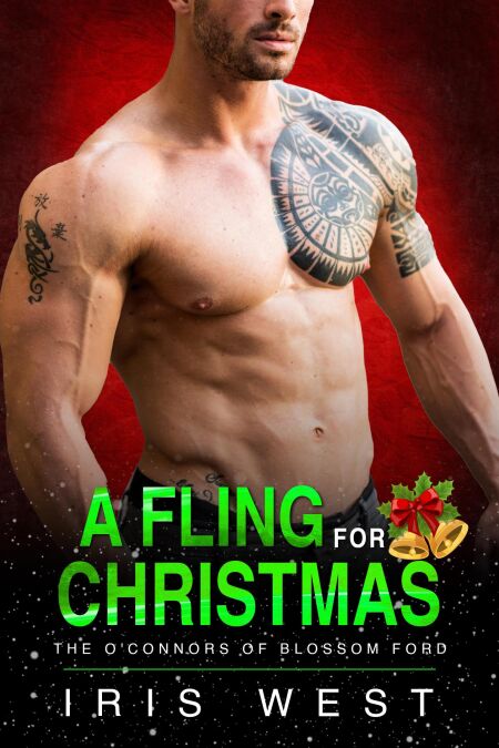 A Fling For Christmas (Nederlands) - De O'Connors van Blossom Ford, #5