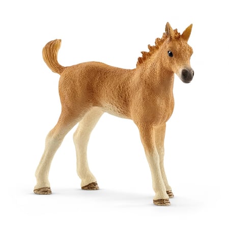 Les soins pour bébé animaux - Horse Club Sarah - Figurines Chevaux - Poney  - Figurines et mondes imaginaires - Jeux d'imagination