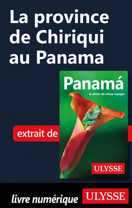media/pim/78_metadata-image-55013502.jpeg