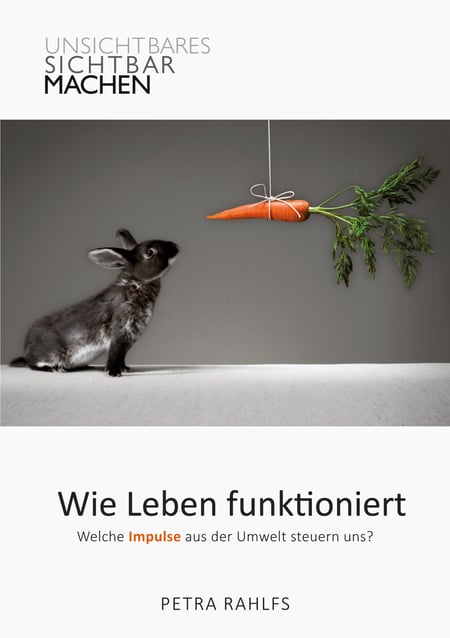 media/pim/78_metadata-image-66793791.jpeg